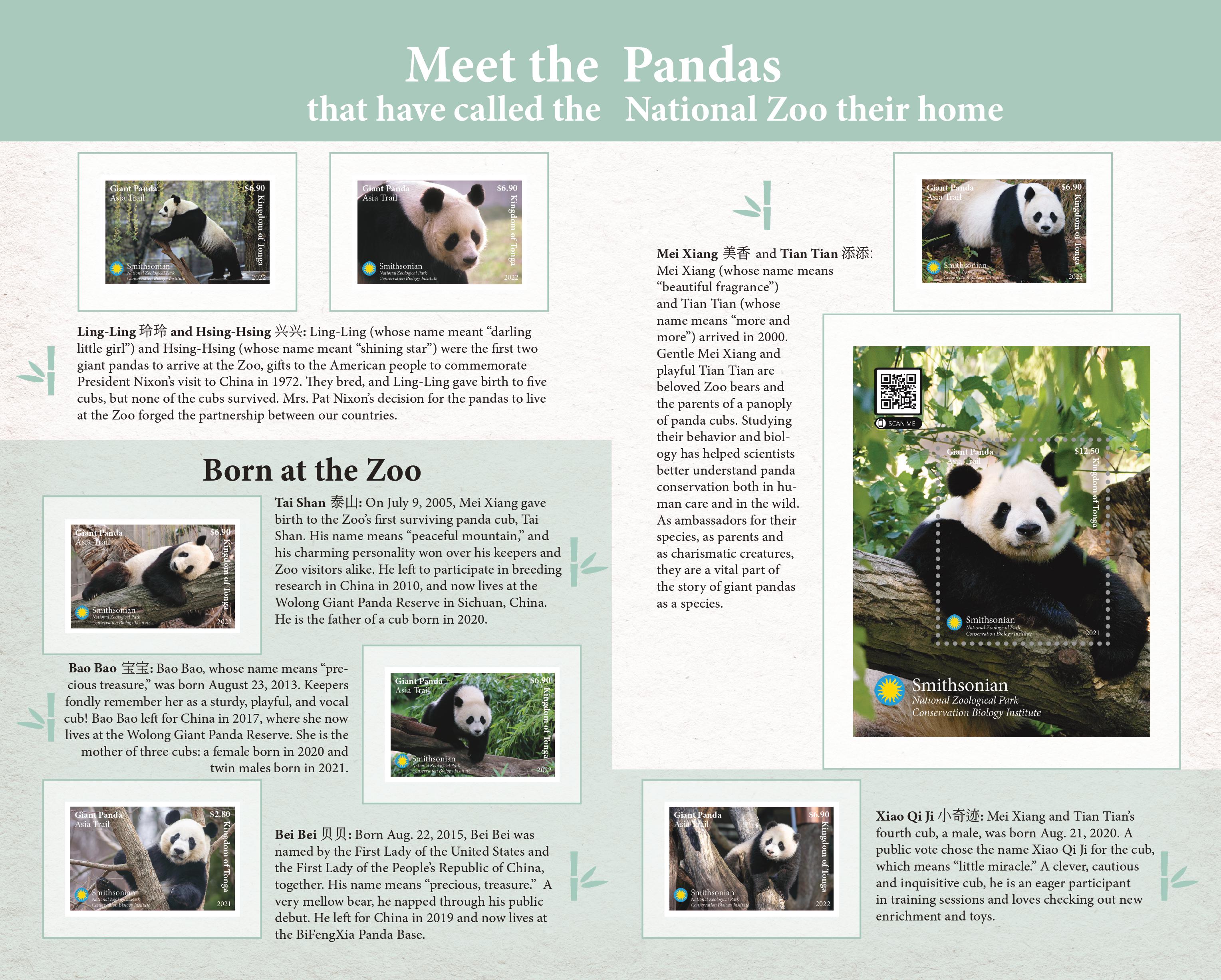 Special Edition: 50 Years of Giant Pandas at the National Zoo