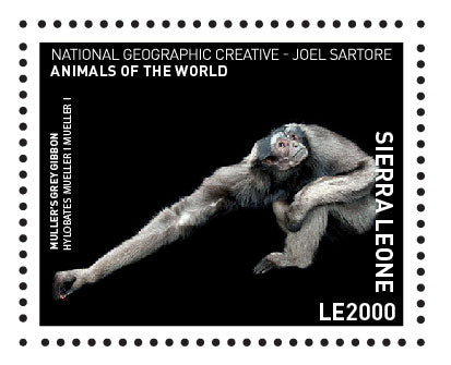 The Photo Ark Stamp Collection by Philatelic Mint - One-Time Purchase